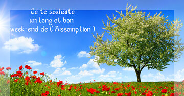 Aperçu de la carte : Je te souhaite un long et bon week-end de l' Assomption !