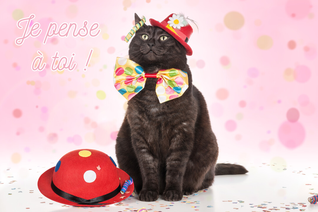 Un chat noir assis, paré d'un petit chapeau de fête rouge et d'un grand nœud papillon multicolore, sur un fond rose festif.