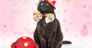 Aperçu de la carte : Je pense à toi !