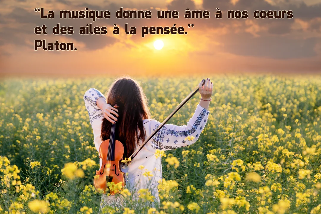 Vue de dos, une femme aux cheveux longs se tient dans un champ de colza, tenant un violon et un archet derrière son dos.