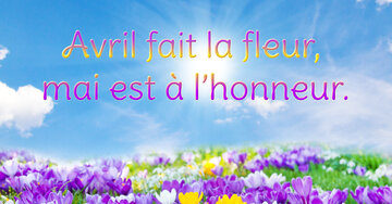 Aperçu de la carte : Avril fait la fleur, mai est à l'honneur.