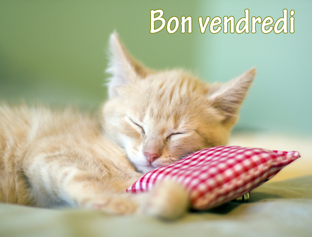 Un jeune chaton roux dort paisiblement, la tête appuyée sur un petit coussin à carreaux rouges et blancs sur un fond vert clair.