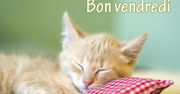 Aperçu de la carte : Bon vendredi