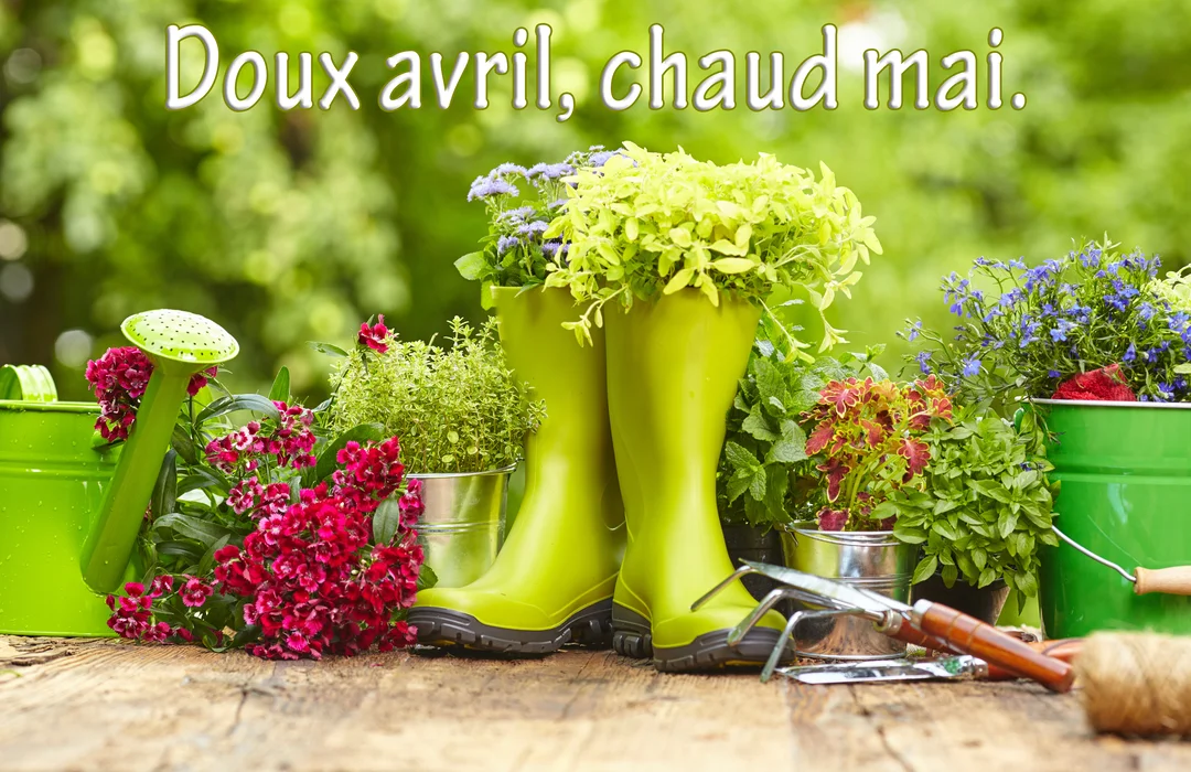 Une composition de jardinage sur une table en bois, avec des bottes vertes remplies de fleurs, divers outils et des plantes en pot.