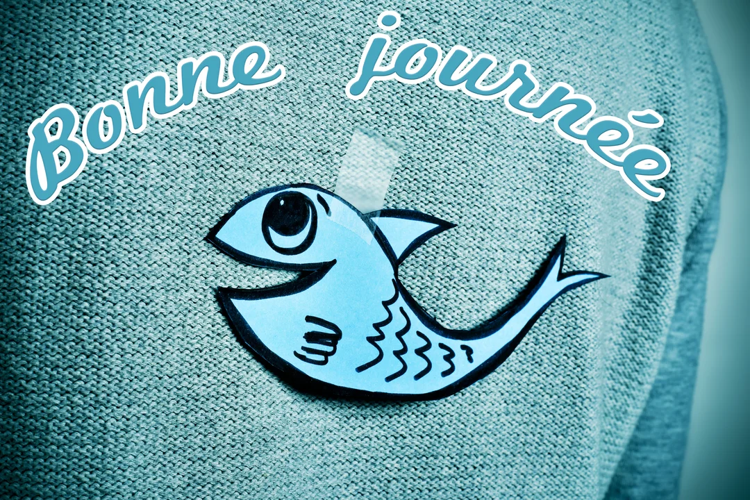 Un poisson en papier bleu, de style enfantin, est collé avec du ruban adhésif sur le dos d'un pull en maille grise.