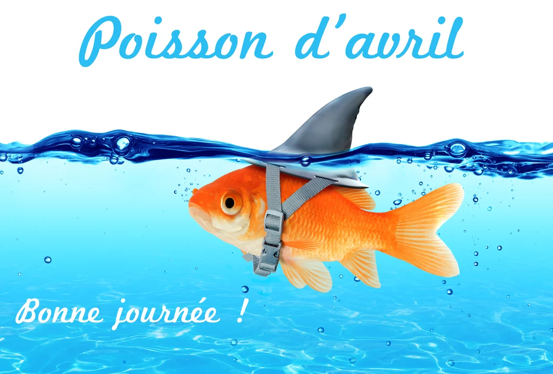 Un poisson rouge nage dans une eau bleue claire, portant sur son dos un faux aileron de requin gris, sur fond blanc.