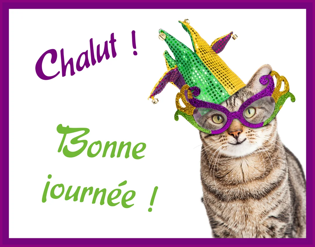 Un chat tigré, coiffé d'un chapeau de bouffon et de lunettes de carnaval, sourit à l'objectif sur un fond blanc avec une bordure violette.