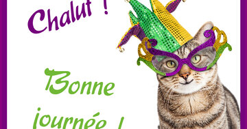 Aperçu de la carte : Chalut ! Bonne journée !