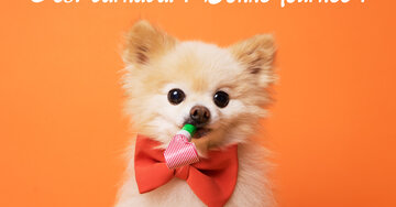 Aperçu de la carte : C'est carnaval ! Bonne journée !