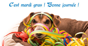Aperçu de la carte : C'est mardi gras ! Bonne journée !