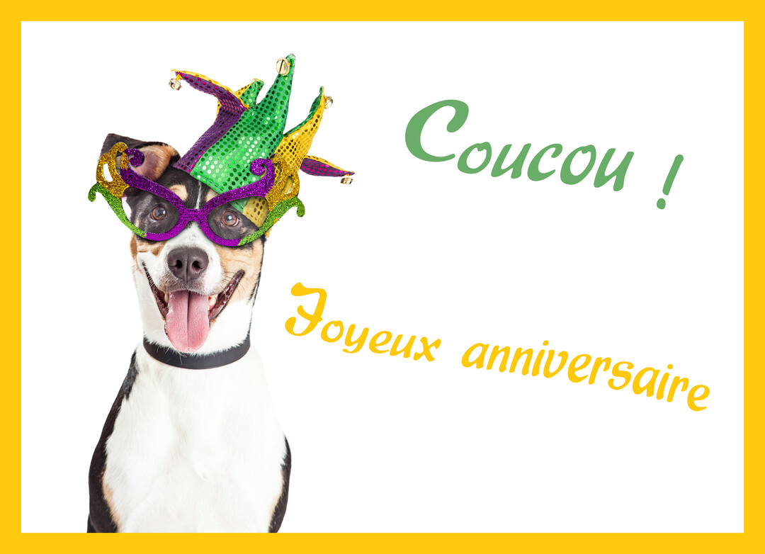 Un chien joyeux, la langue pendante, porte un costume de carnaval avec un chapeau de bouffon vert, violet et jaune sur fond blanc.