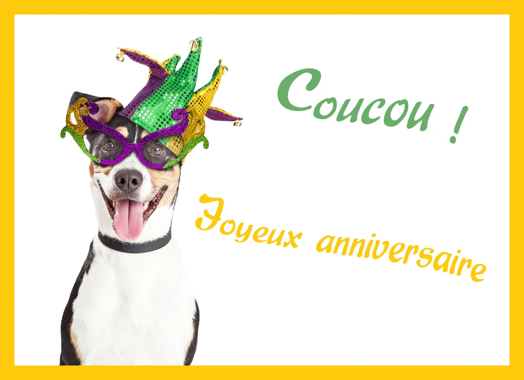 Un chien joyeux, la langue pendante, porte un costume de carnaval avec un chapeau de bouffon vert, violet et jaune sur fond blanc.