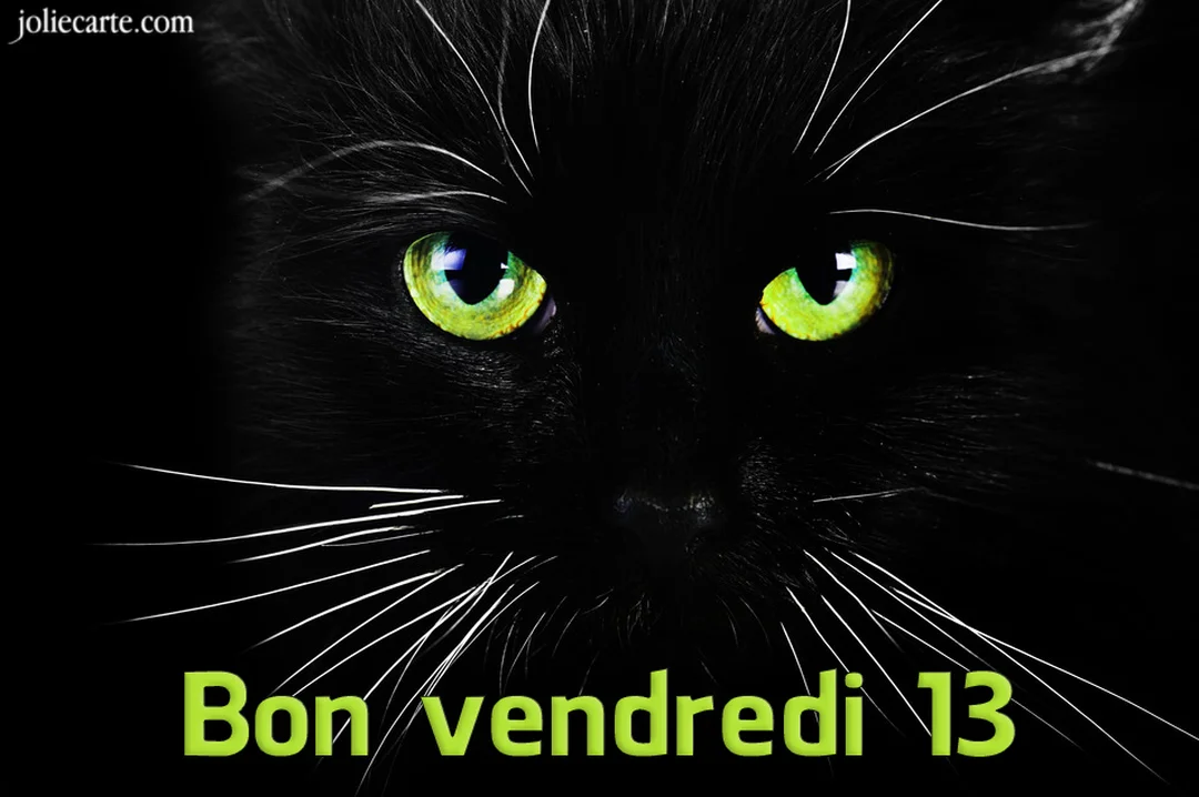 Un gros plan photographique du visage d'un chat noir, oĂč seuls ses yeux verts perçants et ses moustaches blanches sont visibles sur fond noir.