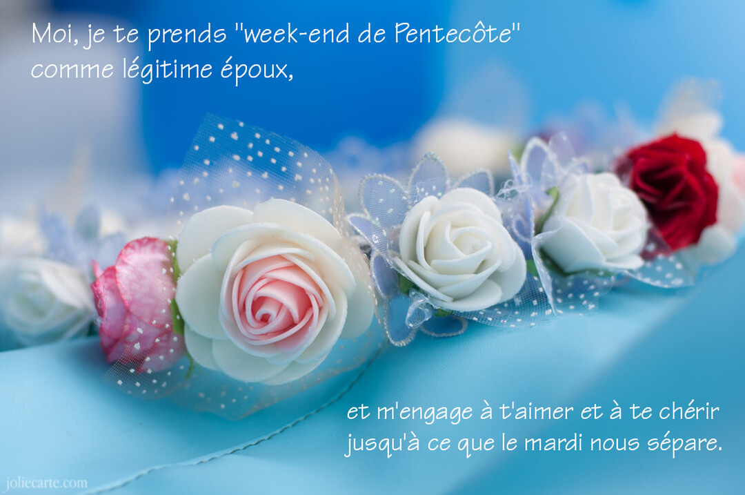 Une guirlande de petites roses artificielles blanches, roses et rouges sur un fond bleu doux, avec un texte humoristique superposé.