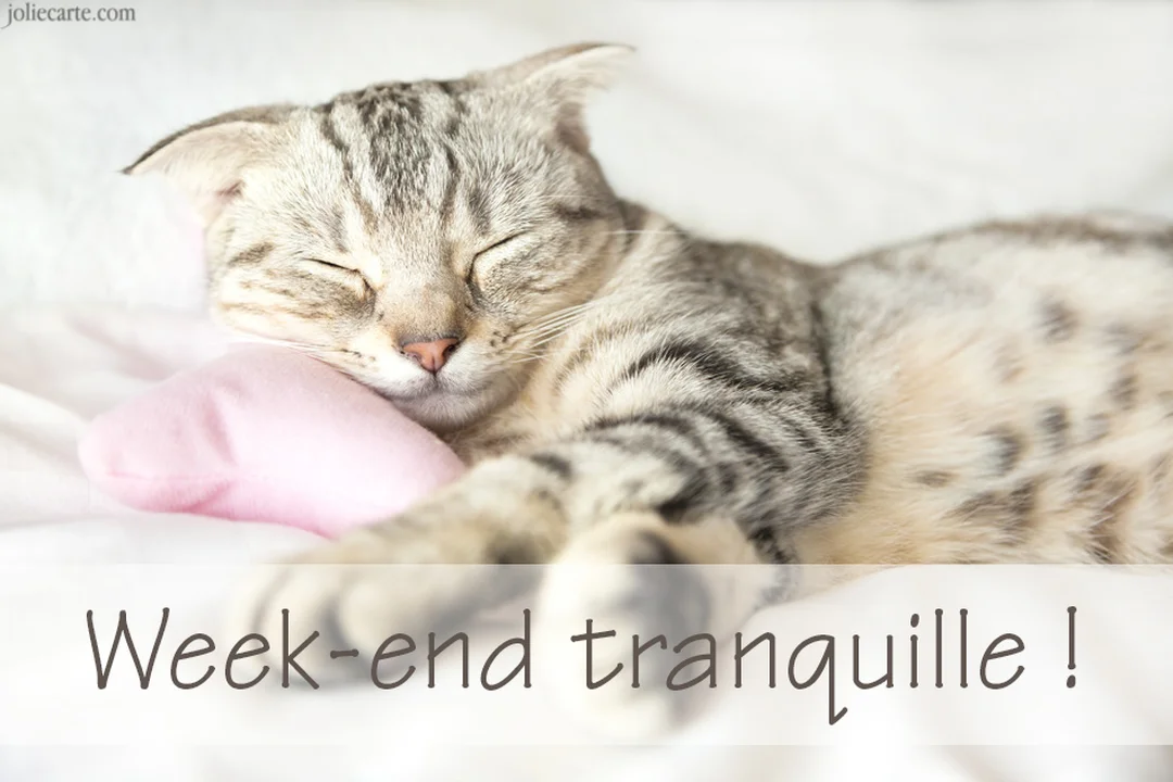 Un jeune chat tigré gris et beige est endormi sur une surface blanche, sa tête reposant confortablement sur un petit coussin de couleur rose.