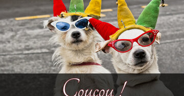 Aperçu de la carte : Coucou