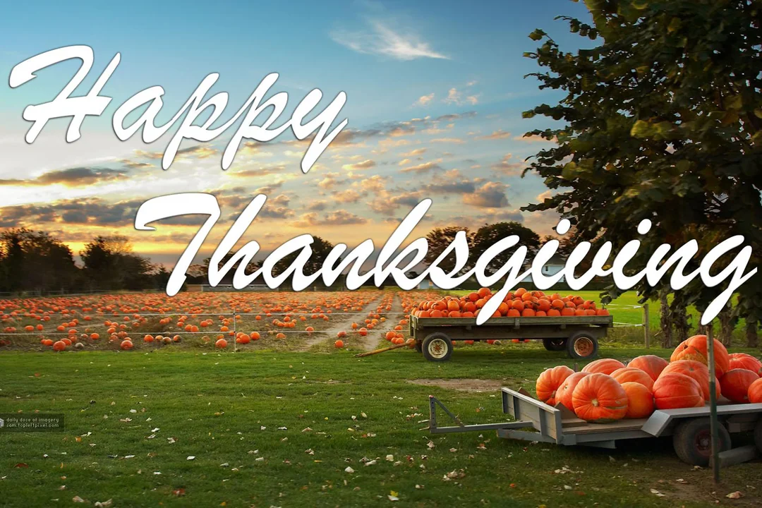 Un paysage rural au crépuscule montrant un vaste champ rempli de citrouilles, avec deux remorques chargées au premier plan.