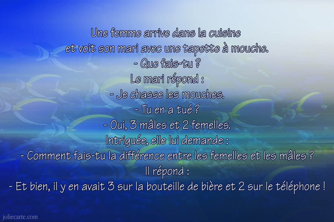 Sur un fond sous-marin bleu avec un banc de poissons-chirurgiens, un texte blanc relate une blague sur les stéréotypes homme-femme pour le 1er avril.