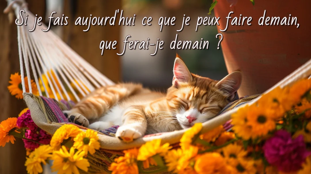 Un jeune chat roux tigré fait la sieste dans un petit hamac, baigné de soleil et bordé de fleurs vives orange et fuchsia.