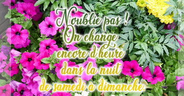 Aperçu de la carte : « N'oublie pas ! On change encore d'heure... »