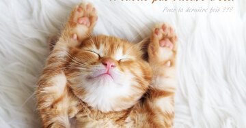 Aperçu de la carte : N'oublie pas l'heure d'été.