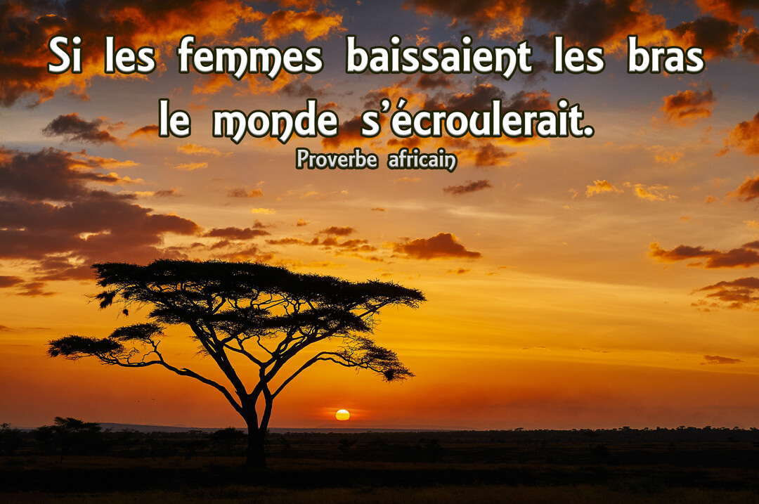 Un proverbe africain sur la force des femmes est superposé à une photographie d'un coucher de soleil sur la savane africaine.