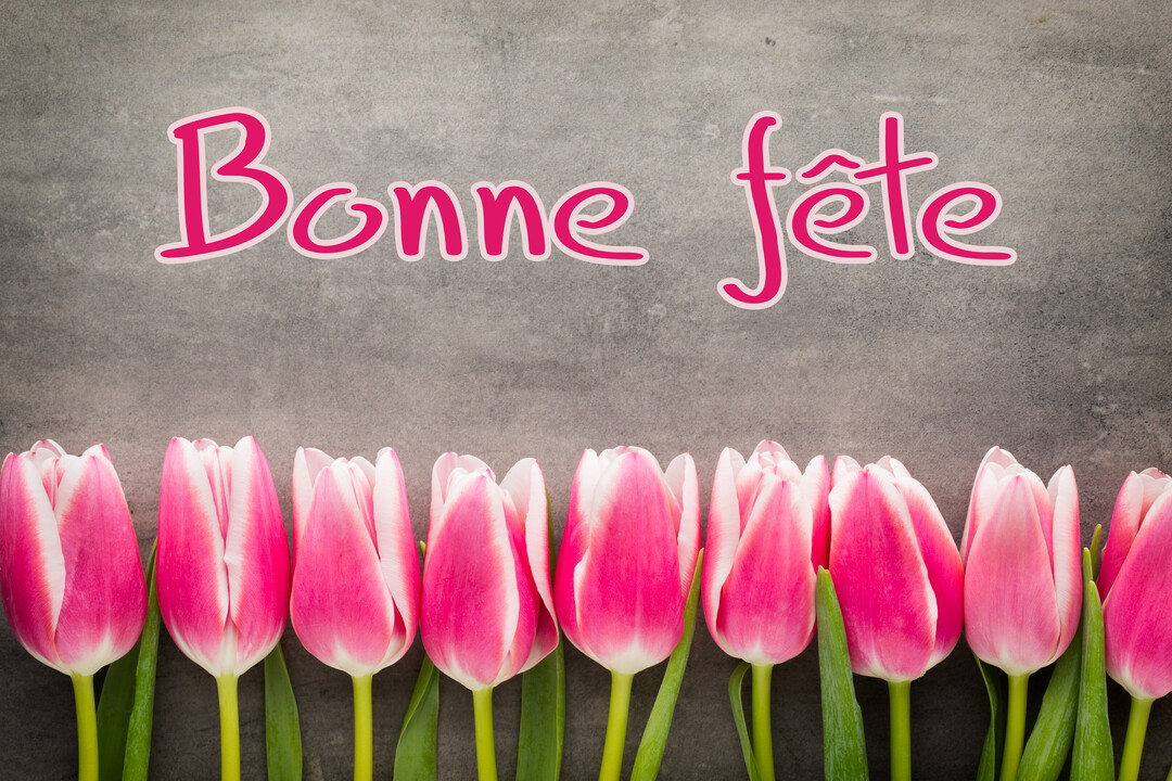 Une composition photographique montrant une rangée de tulipes roses sur un fond gris texturé, avec l'inscription 'Bonne fête' en rose au-dessus.