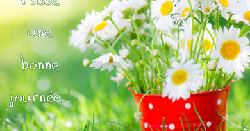 Aperçu de la carte : Passe
une
bonne
journée !