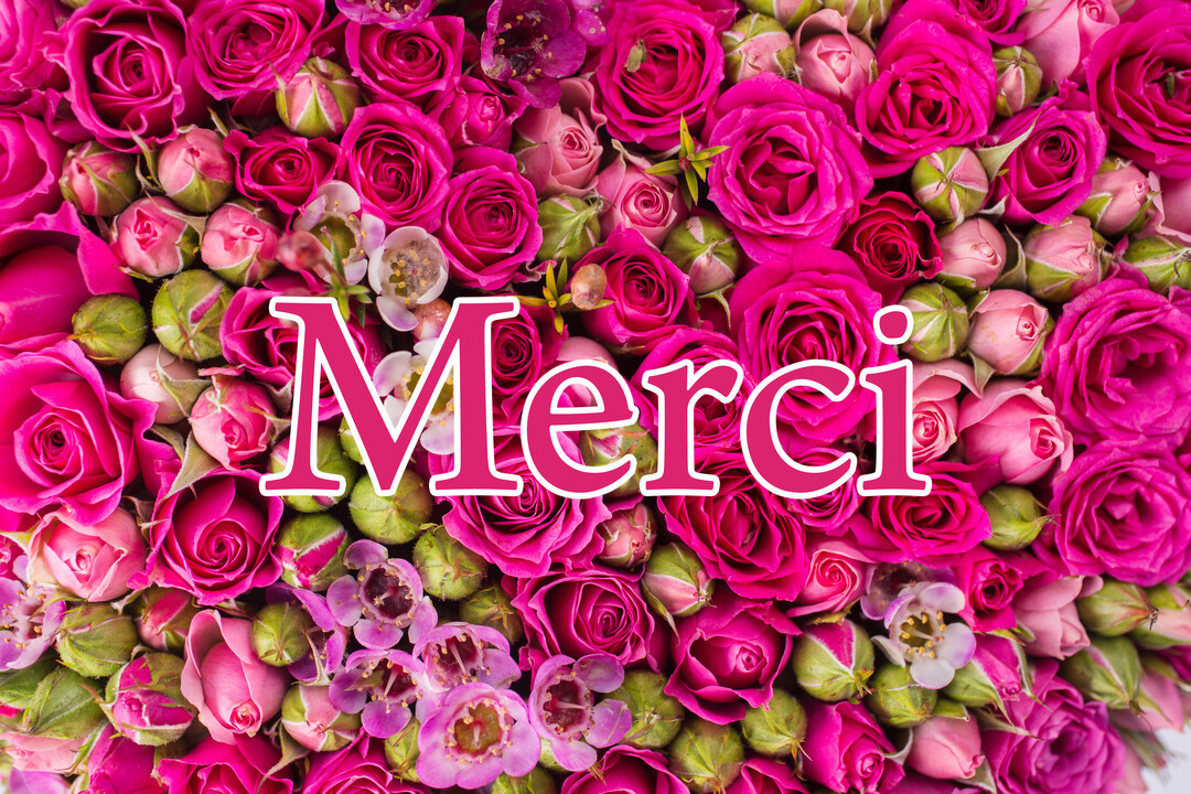 Vue de dessus d'un lit dense de roses et de boutons de rose fuchsia avec le mot 'Merci' écrit au centre en rose.