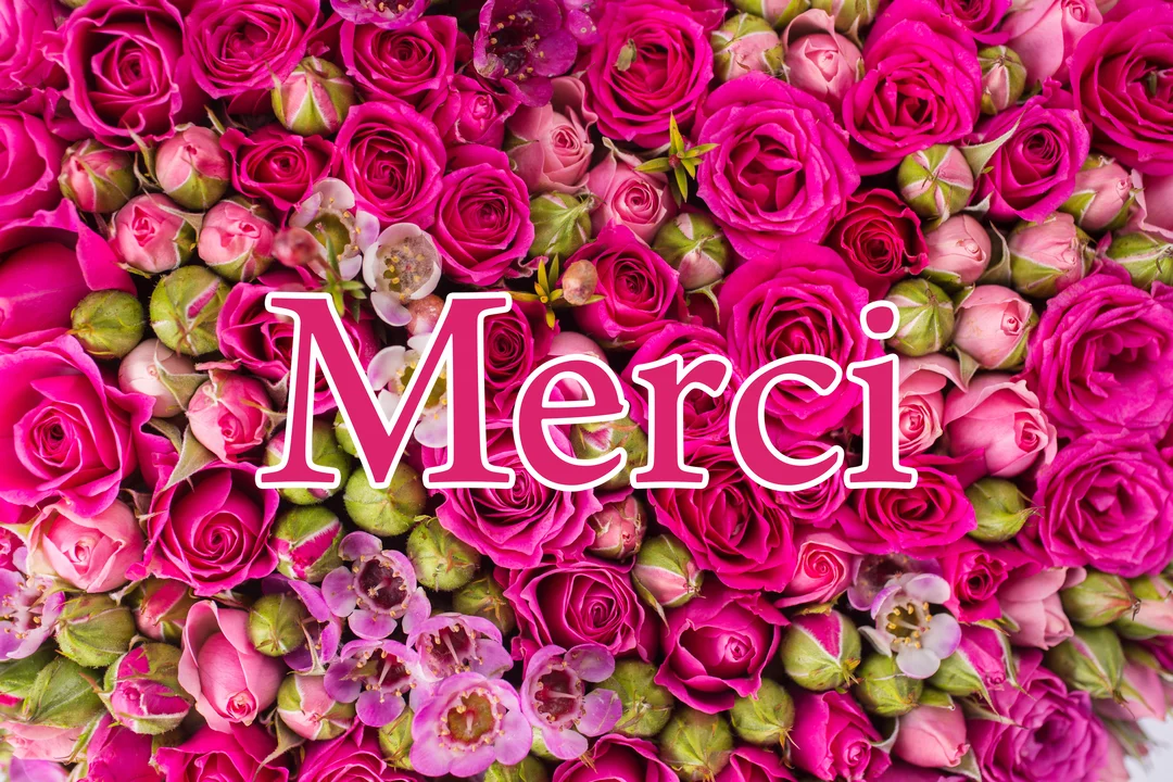 Vue de dessus d'un lit dense de roses et de boutons de rose fuchsia avec le mot 'Merci' écrit au centre en rose.