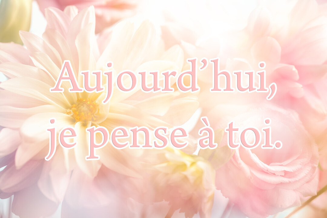 Un bouquet de dahlias et de roses dans des tons pastel rose et crème, avec un effet de lumière douce et vaporeuse.