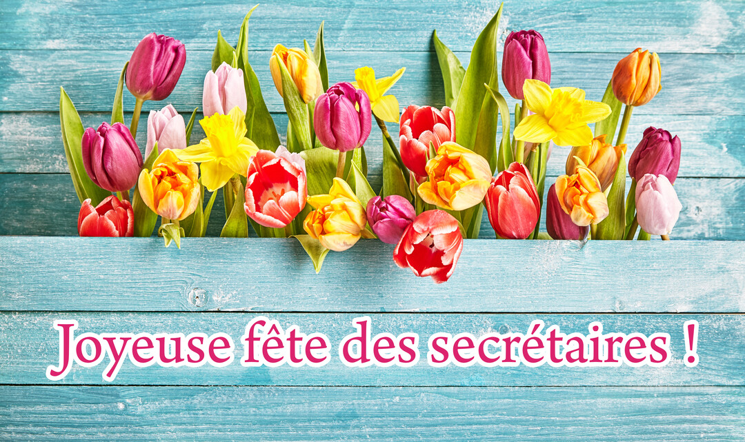 Une rangée de tulipes et jonquilles de diverses couleurs est disposée sur un fond de planches de bois bleues, avec le texte "Joyeuse fête des secrétaires !".