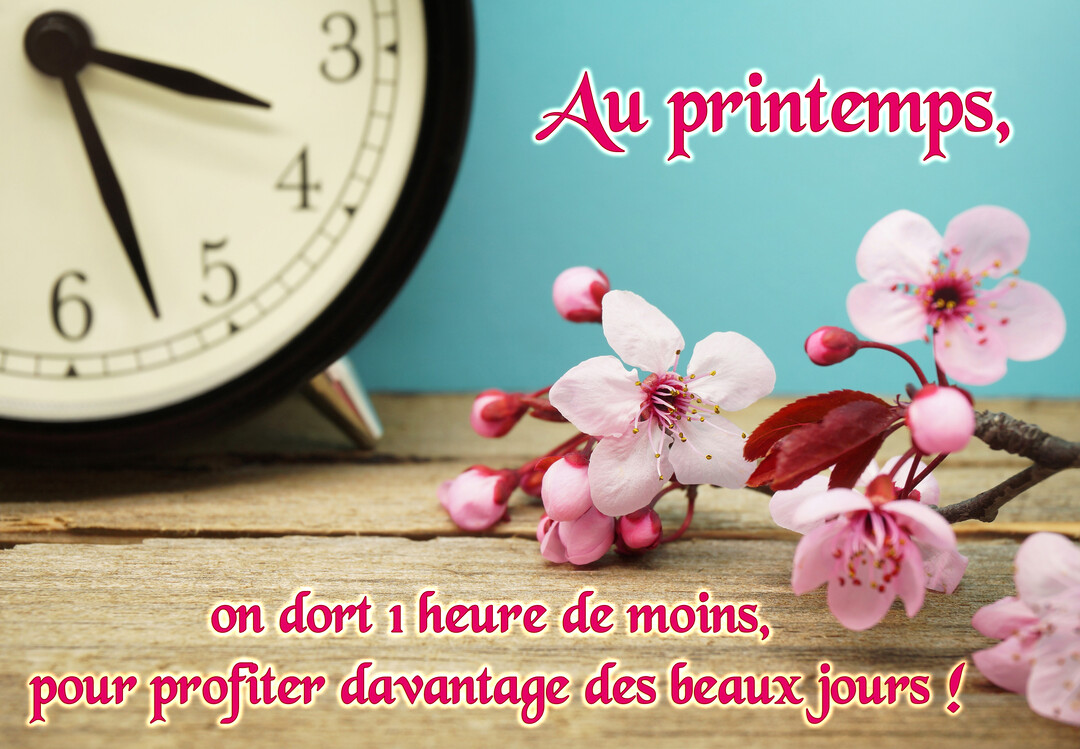 Une branche de cerisier en fleurs roses est posée sur une table en bois à côté d'un réveil noir, sur un fond bleu.
