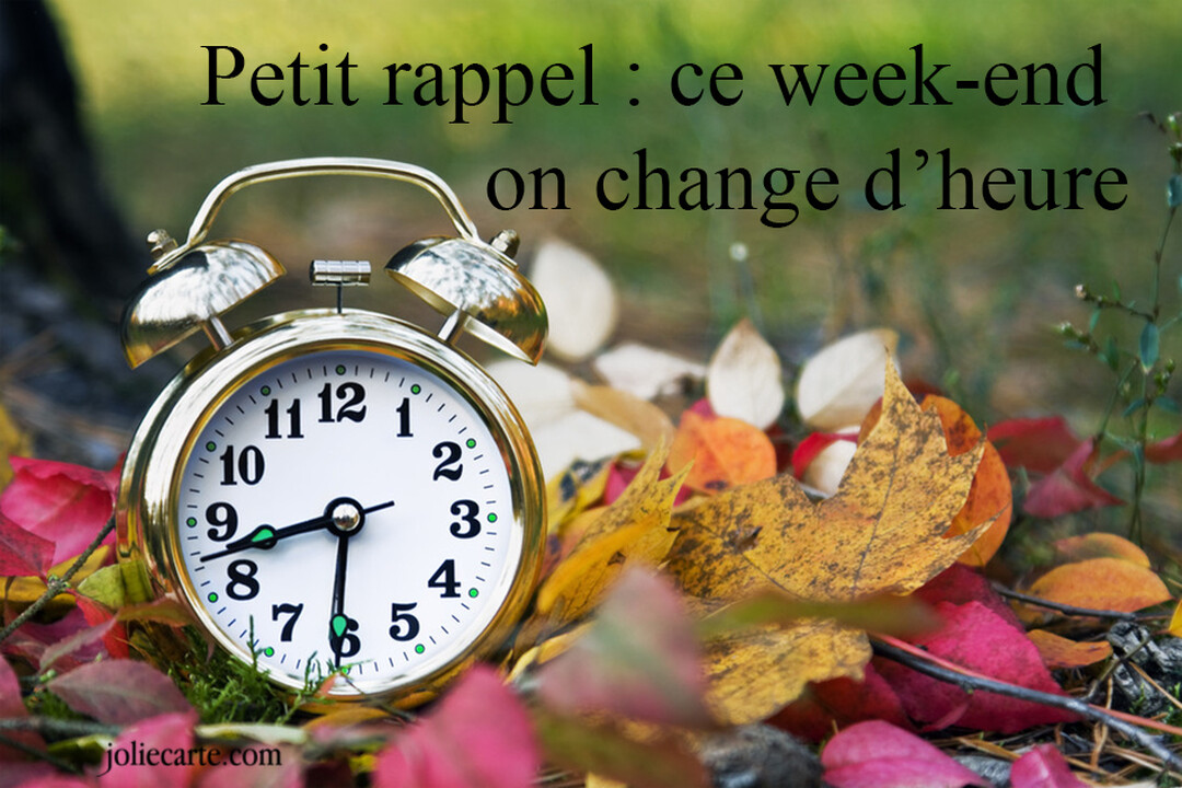 Un réveil-matin doré de style vintage est posé au sol sur un lit de feuilles mortes automnales aux couleurs chaudes et variées.