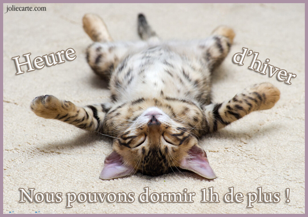 Un jeune chaton tigré marron et noir dort paisiblement sur le dos sur un tapis beige, les quatre pattes joyeusement étendues en l'air.