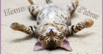 Aperçu de la carte : Heure d'hiver, nous pouvons dormir une heure de plus.