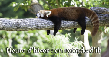 Aperçu de la carte : Heure d'hiver : on retarde d'une heure