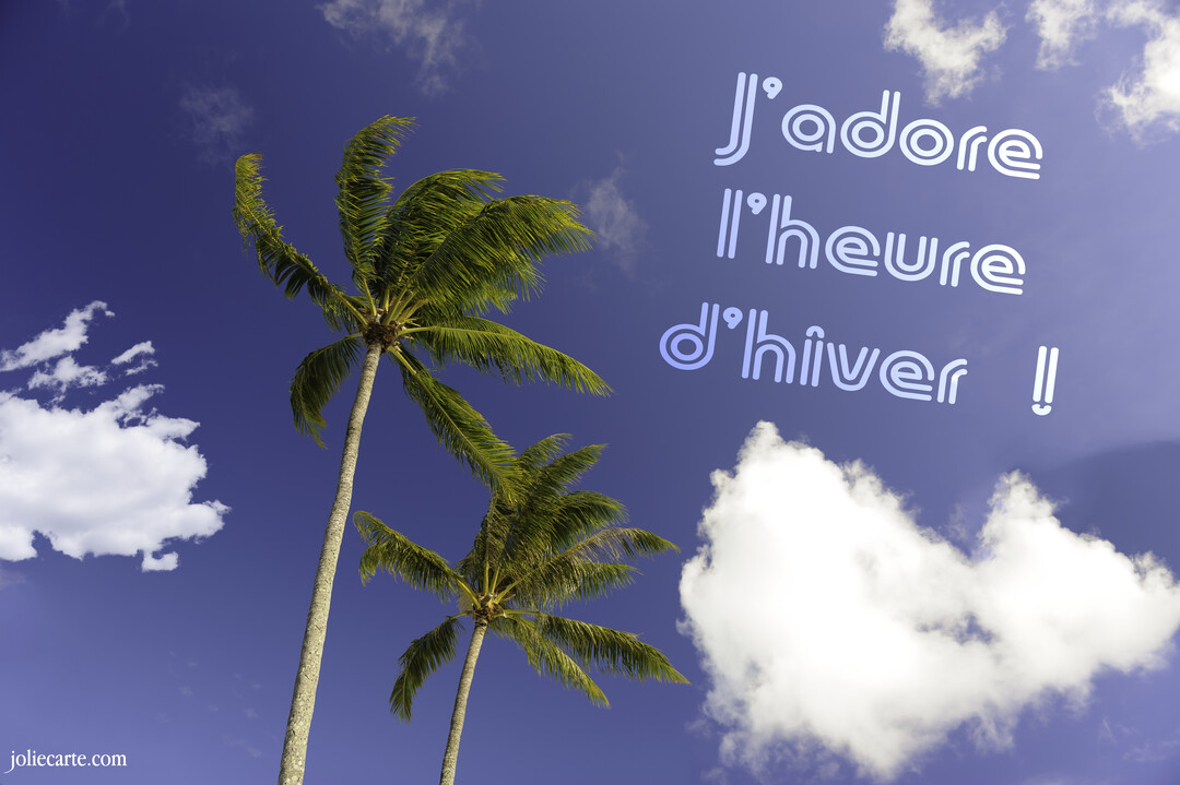 En contre-plongée, deux grands palmiers se découpent sur un ciel bleu profond parsemé de nuages blancs, avec une inscription ironique sur l'hiver.