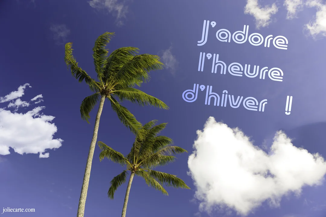 En contre-plongée, deux grands palmiers se découpent sur un ciel bleu profond parsemé de nuages blancs, avec une inscription ironique sur l'hiver.