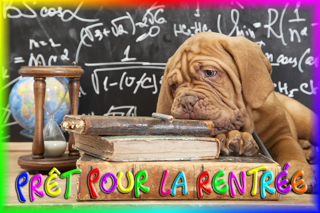 Un jeune chiot Dogue de Bordeaux, l'air abattu, est avachi sur une pile de livres anciens devant un tableau noir rempli d'équations.