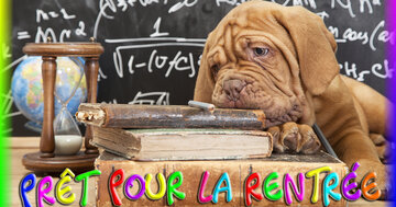 Aperçu de la carte : Prêt pour la rentrée