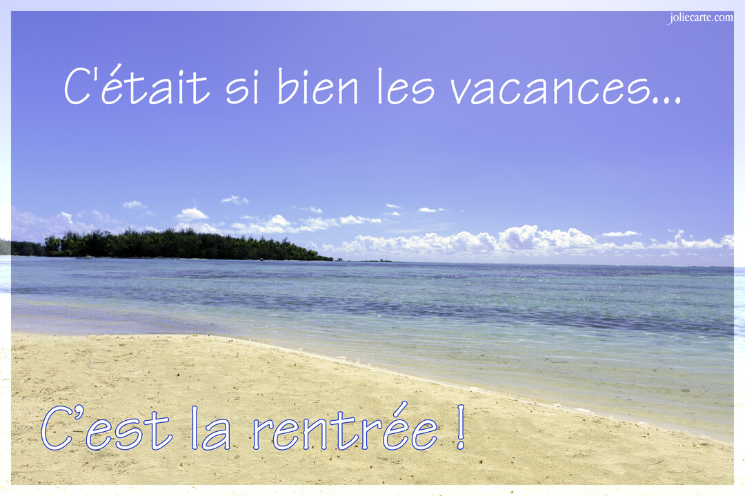 Une plage de sable fin borde une mer turquoise sous un ciel bleu, avec une île boisée à l'horizon et un texte humoristique.