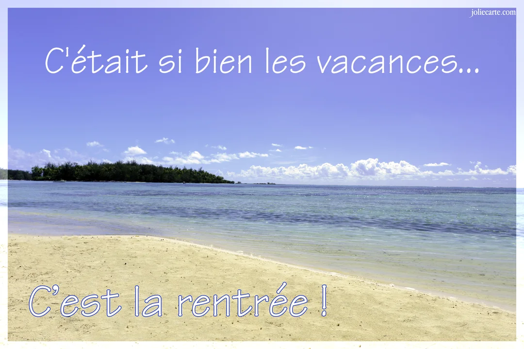 Une plage de sable fin borde une mer turquoise sous un ciel bleu, avec une île boisée à l'horizon et un texte humoristique.