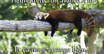 Aperçu de la carte : « On avance d'une heure pour l'été, et ça nous arrange bien... »