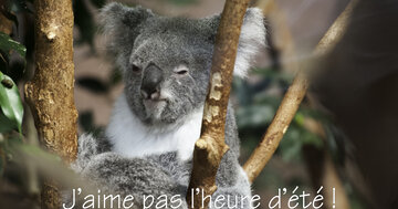 Aperçu de la carte : J'aime pas l'heure d'été