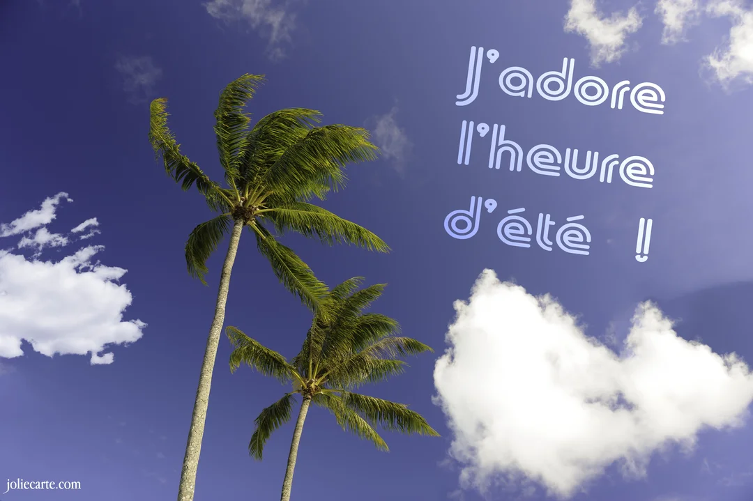 Une photographie ensoleillée montrant deux grands palmiers verts se dressant vers un ciel bleu profond parsemé de quelques nuages blancs.