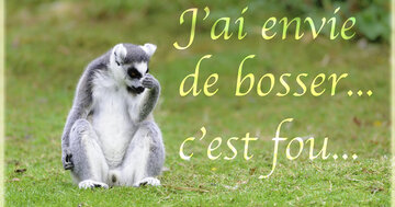 Aperçu de la carte : J'ai envie de bosser c'est fou.