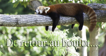 Aperçu de la carte : De retour au boulot