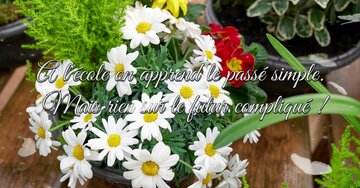 Aperçu de la carte : « À l'école on apprend le passé simple... »