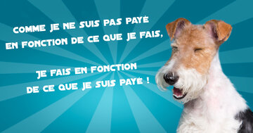 Aperçu de la carte : « Comme je ne suis pas payé en fonction de ce que je fais... »